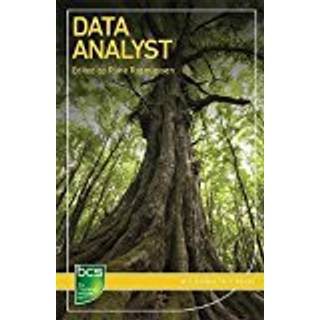 Data Analyst