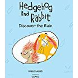 A Rainy Day with Hedgehog and Rabbit