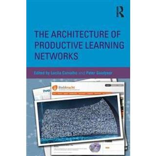 The Architecture of Productive Learning Networks