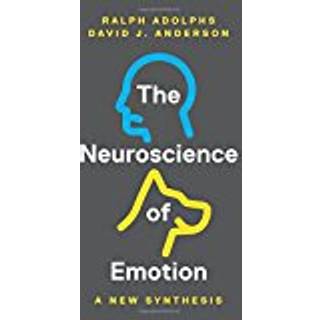 The Neuroscience of Emotion