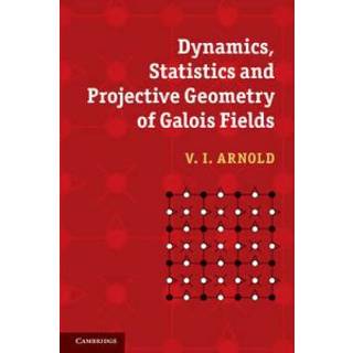 Dynamics, Statistics and Projective Geometry of Galois Fields