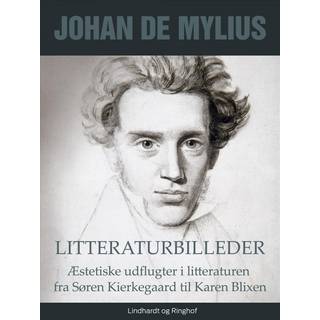 Litteraturbilleder: Æstetiske udflugter i litteraturen fra Søren Kierkegaard til Karen Blixen