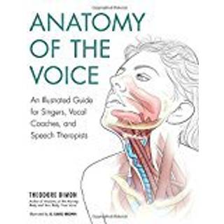 Anatomy of the Voice
