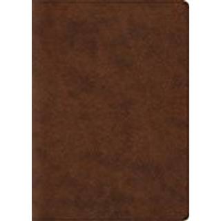 ESV Archaeology Study Bible