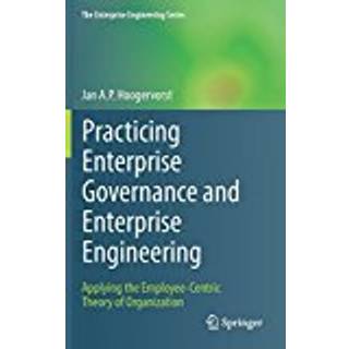 Practicing Enterprise Governance and Enterprise Engineering