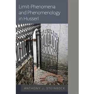 Limit-Phenomena and Phenomenology in Husserl