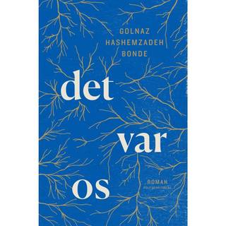 Det var os