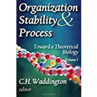 Organization Stability and Process