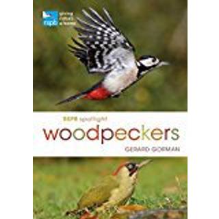 RSPB Spotlight Woodpeckers