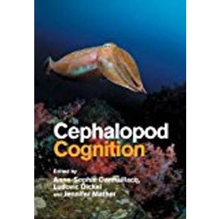 Cephalopod Cognition