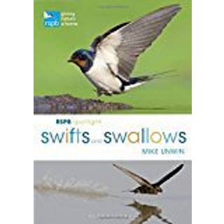 RSPB Spotlight Swifts and Swallows