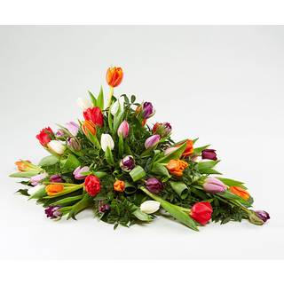 Båredekoration, blandede tulipaner