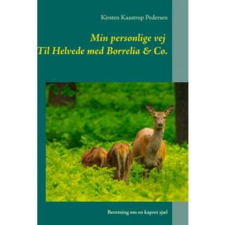 Min personlige vej Til Helvede med Borrelia & Co.