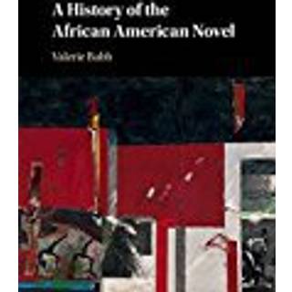 A History of the African American Novel