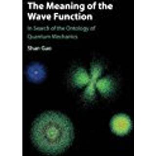 The Meaning of the Wave Function