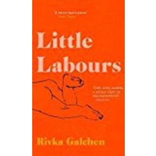 Little Labours (4, 2019) | Rivka Galchen
