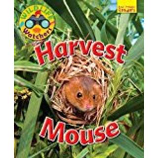Wildlife Watchers: Harvest Mouse