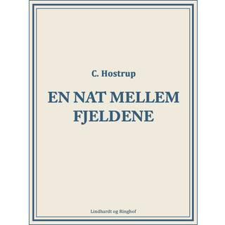 En nat mellem fjeldene