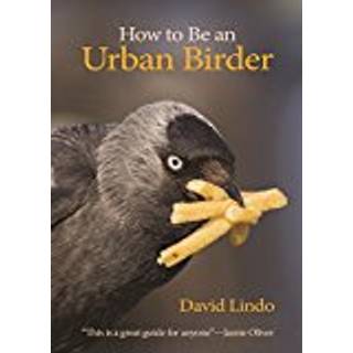 How to Be an Urban Birder