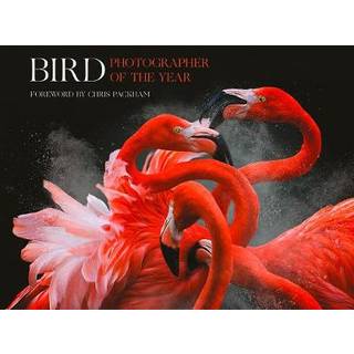 Bird Photographer of the Year