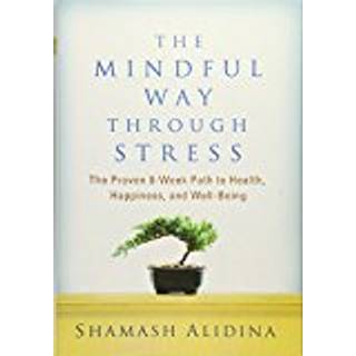 The Mindful Way through Stress