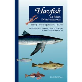 Havfisk og fiskeri