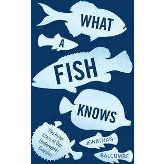 What a Fish Knows