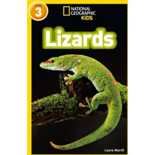Lizards