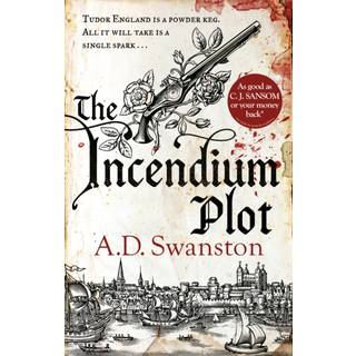 The Incendium Plot (4, 2018) | A D Swanston