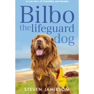 Bilbo the Lifeguard Dog