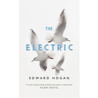 The Electric (3, 2020) | Edward Hogan