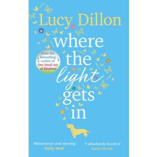 Where The Light Gets In