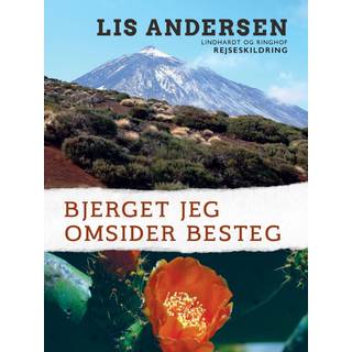 Bjerget jeg omsider besteg