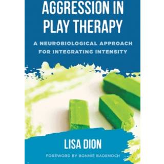 Aggression in Play Therapy