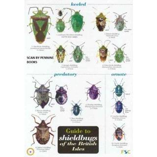 Guide to Shieldbugs of the British Isles
