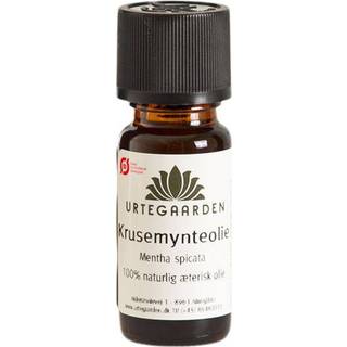 Krusemynteolie Økologisk - 10 ml - Urtegaarden
