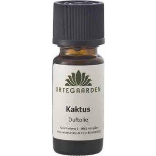 Kaktus duftolie (10 ml)