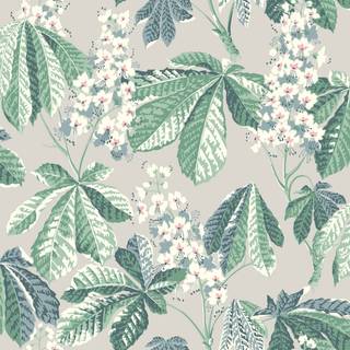 Chestnut Blossom - 7202