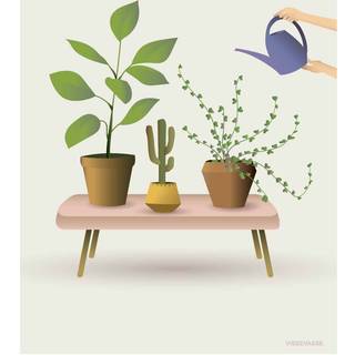 Tilbud: Spar 75% - Growing Plants - Plakat 50x70 cm fra ViSSEVASSE