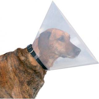 Trixie Protective collar plastic M: 38-44 cm/20 cm
