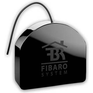 Fibaro Double Smart Module