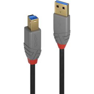 Lindy Anthra line USB 3.2 Gen 1 kabel (USB type A - B) | 50 cm | PRIS-MATCH