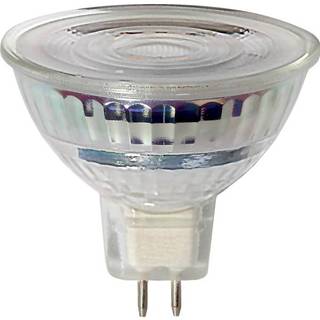 Star Trading - LED LAMP GU5.3 MR16 Spotlight Glass