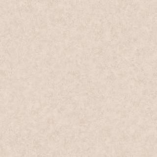 Desert Stone - 6458