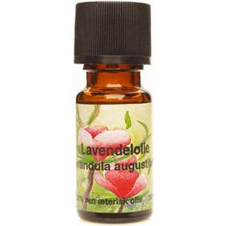 Lavendelolie Æterisk (10 ml)