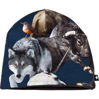 Molo Ned Hue National Animals 0-3 Months    0-3 måneder  mand