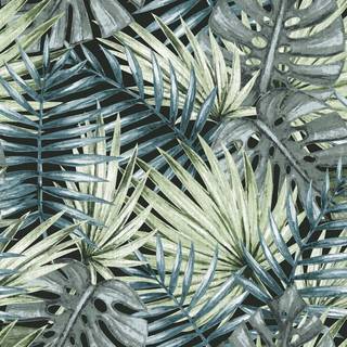 Caribbean - 1051-1
