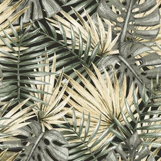 Caribbean - 1051-2