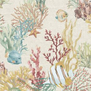 Caribbean - 1052-1