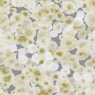 Caribbean - 1054-2